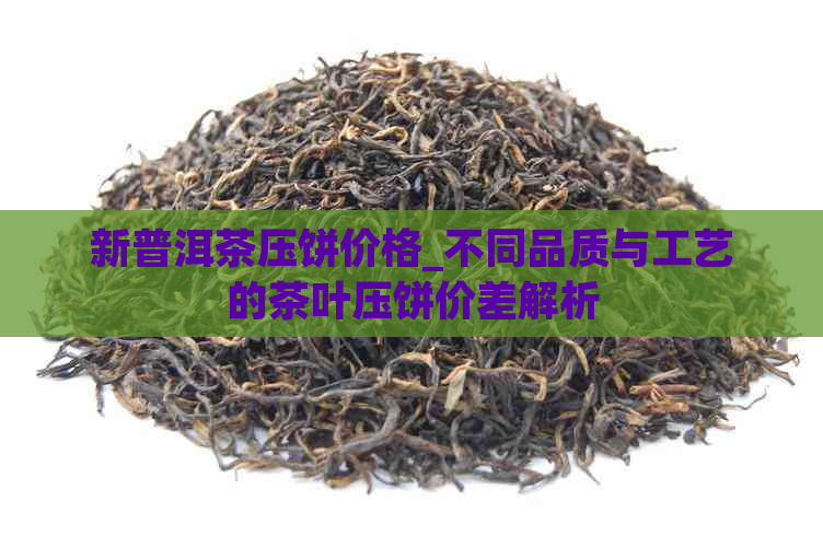 新普洱茶压饼价格_不同品质与工艺的茶叶压饼价差解析