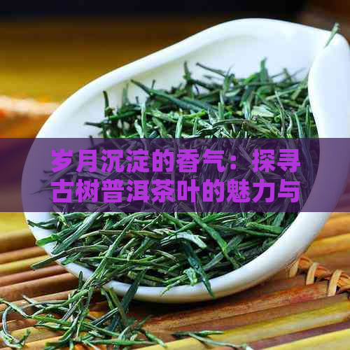 岁月沉淀的香气：探寻古树普洱茶叶的魅力与传承