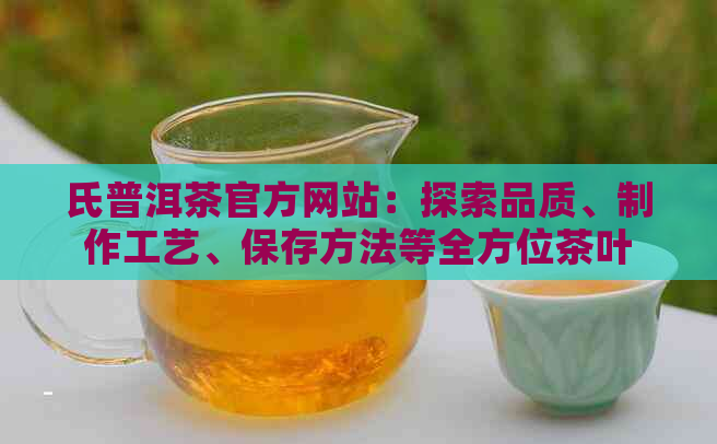 氏普洱茶官方网站：探索品质、制作工艺、保存方法等全方位茶叶信息