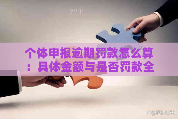 个体申报逾期罚款怎么算：具体金额与是否罚款全解