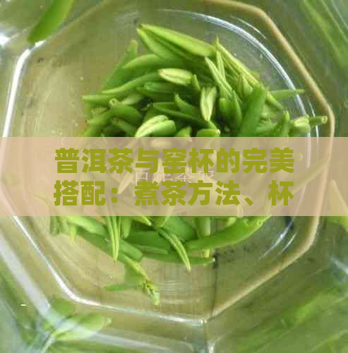 普洱茶与窑杯的完美搭配：煮茶方法、杯子选择以及品饮体验全面解析