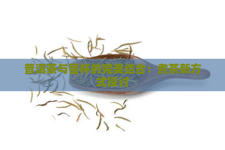 普洱茶与窑杯的完美结合：煮茶新方式探讨