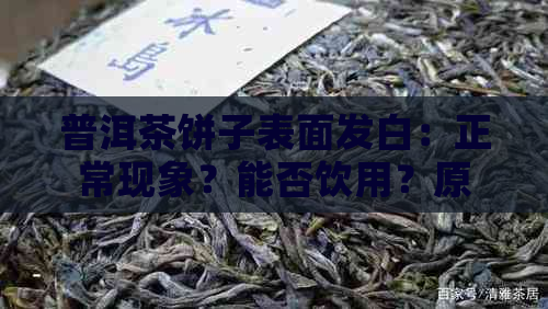 普洱茶饼子表面发白：正常现象？能否饮用？原因是什么？