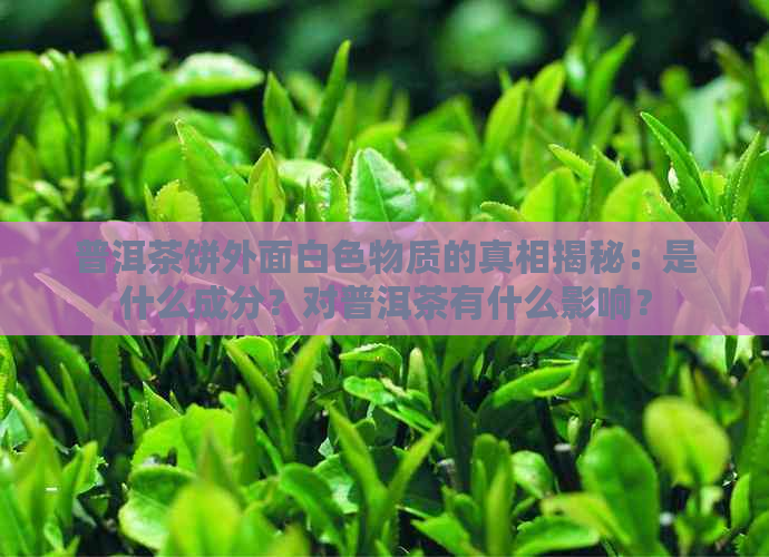 普洱茶饼外面白色物质的真相揭秘：是什么成分？对普洱茶有什么影响？