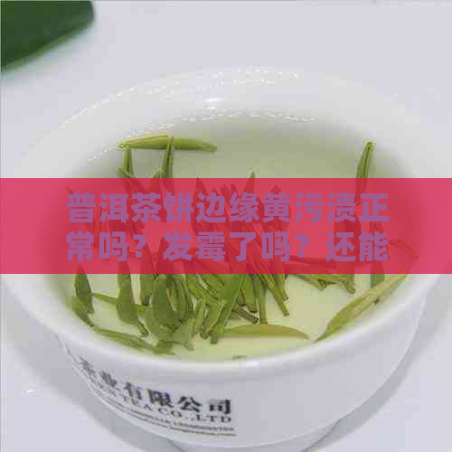 普洱茶饼边缘黄污渍正常吗？发霉了吗？还能喝吗？小点点是什么？