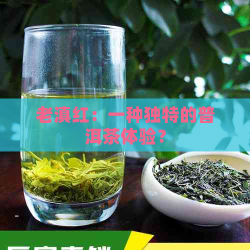 老滇红：一种独特的普洱茶体验？