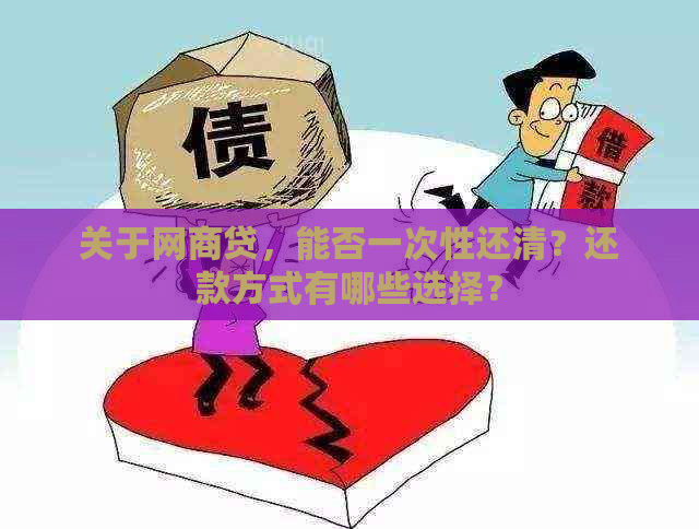 关于网商贷，能否一次性还清？还款方式有哪些选择？