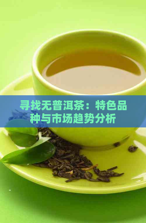 寻找无普洱茶：特色品种与市场趋势分析