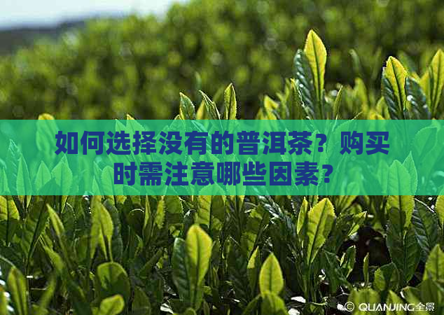 如何选择没有的普洱茶？购买时需注意哪些因素？