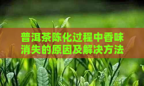 普洱茶陈化过程中香味消失的原因及解决方法