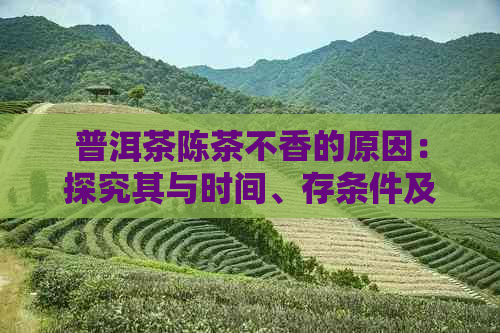 普洱茶陈茶不香的原因：探究其与时间、存条件及品质的关系