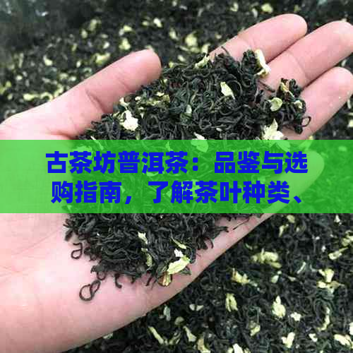 古茶坊普洱茶：品鉴与选购指南，了解茶叶种类、制作工艺与保存方法