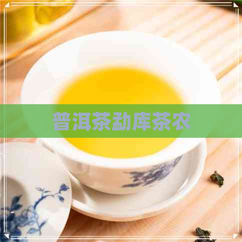 普洱茶勐库茶农