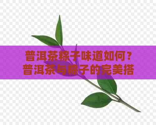 普洱茶粽子味道如何？普洱茶与粽子的完美搭配，尝出糯香味与普洱茶的融合