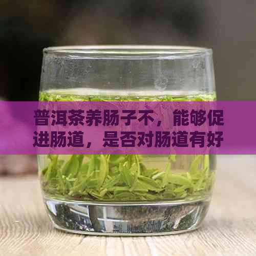 普洱茶养肠子不，能够促进肠道，是否对肠道有好处？