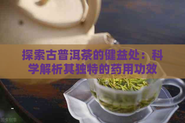 探索古普洱茶的健益处：科学解析其独特的药用功效