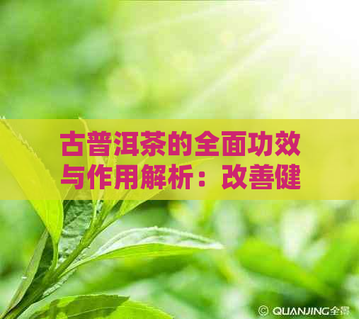 古普洱茶的全面功效与作用解析：改善健、调节消化、提神醒脑等多方面效益