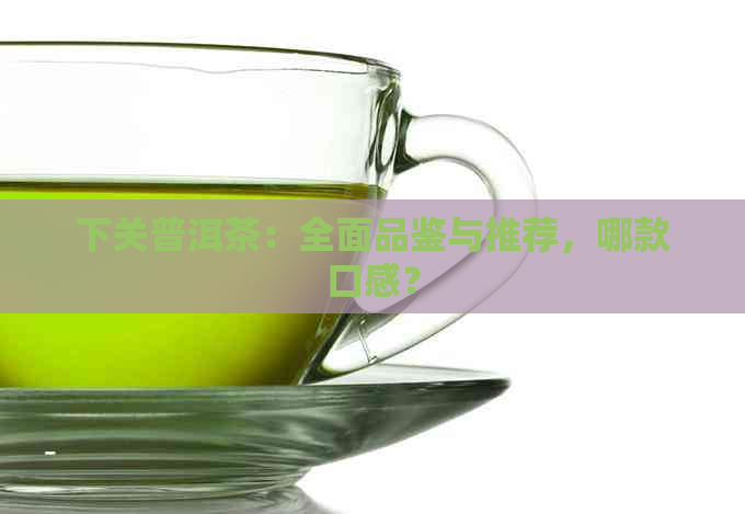 下关普洱茶：全面品鉴与推荐，哪款口感？