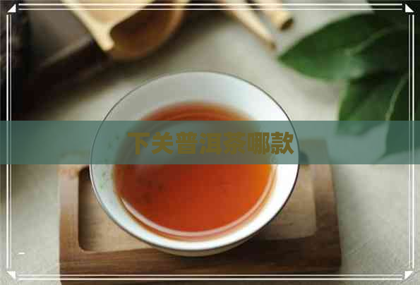 下关普洱茶哪款