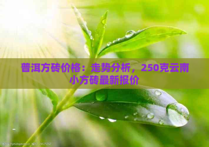 普洱方砖价格：走势分析，250克云南小方砖最新报价