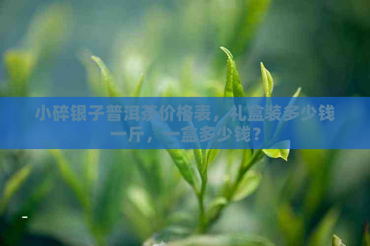 小碎银子普洱茶价格表，礼盒装多少钱一斤，一盒多少钱？