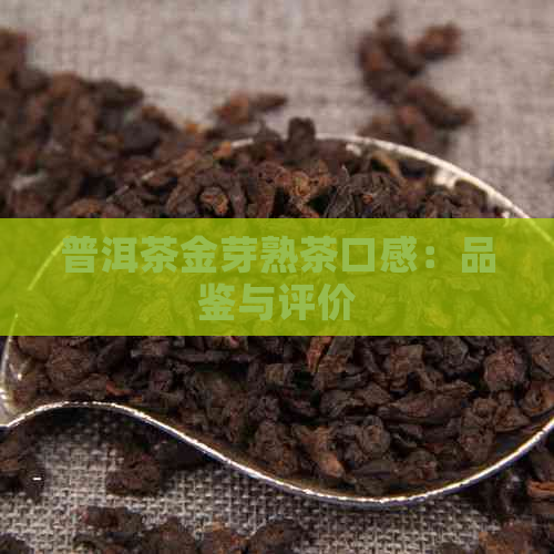 普洱茶金芽熟茶口感：品鉴与评价