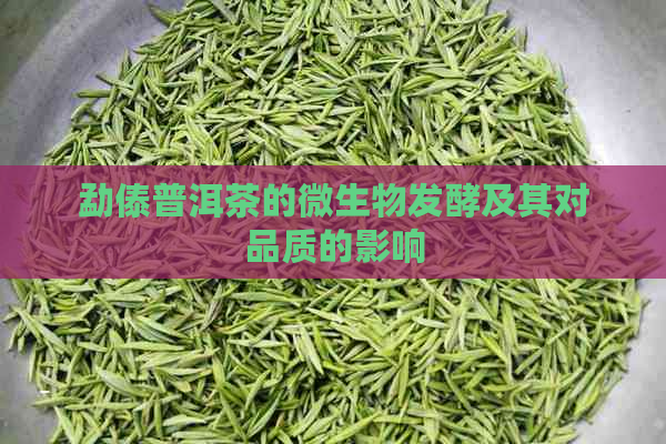 勐傣普洱茶的微生物发酵及其对品质的影响