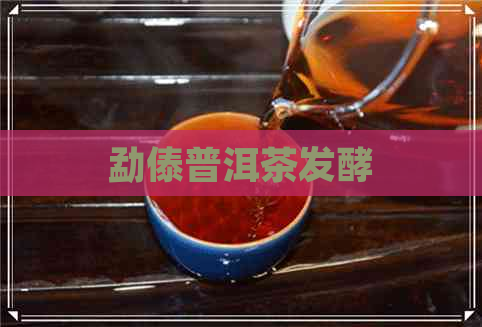 勐傣普洱茶发酵