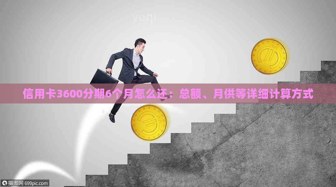 信用卡3600分期6个月怎么还：总额、月供等详细计算方式