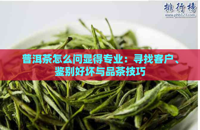 普洱茶怎么问显得专业：寻找客户、鉴别好坏与品茶技巧