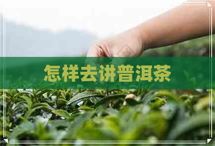 怎样去讲普洱茶