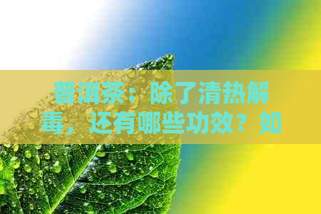 普洱茶：除了清热解，还有哪些功效？如何科学饮用以达到效果？