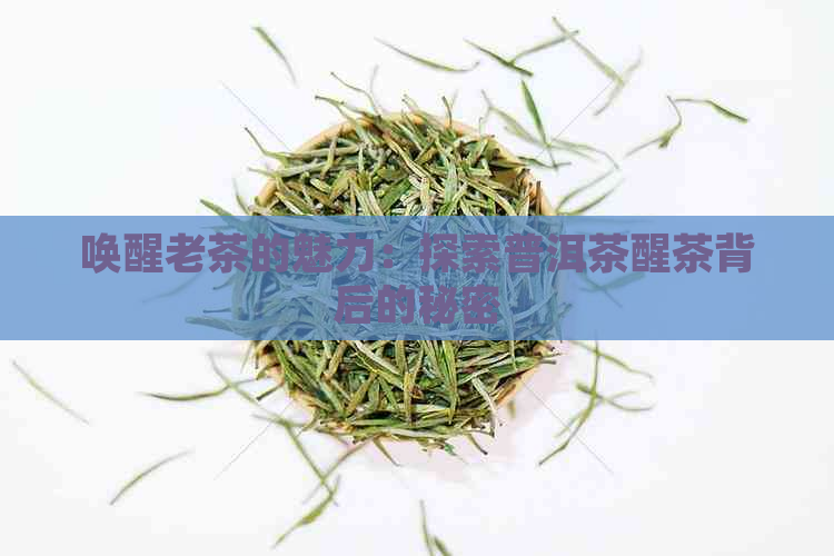 唤醒老茶的魅力：探索普洱茶醒茶背后的秘密