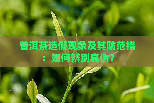 普洱茶造假现象及其防范措：如何辨别真伪？