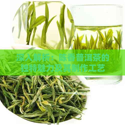 深入解析：陈香普洱茶的独特魅力及其制作工艺