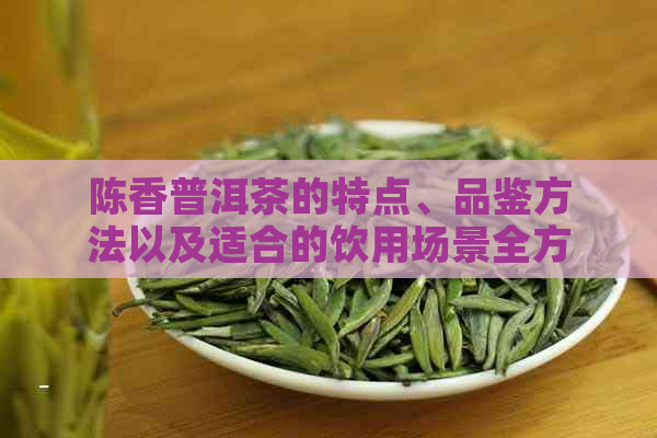 陈香普洱茶的特点、品鉴方法以及适合的饮用场景全方位解析