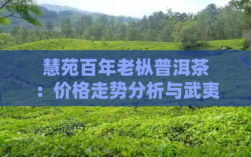 慧苑百年老枞普洱茶：价格走势分析与武夷岩茶水仙对比研究