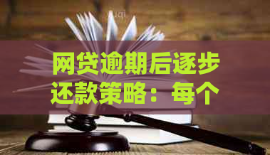 网贷逾期后逐步还款策略：每个月还一点是否有效？如何避免更严重的后果？