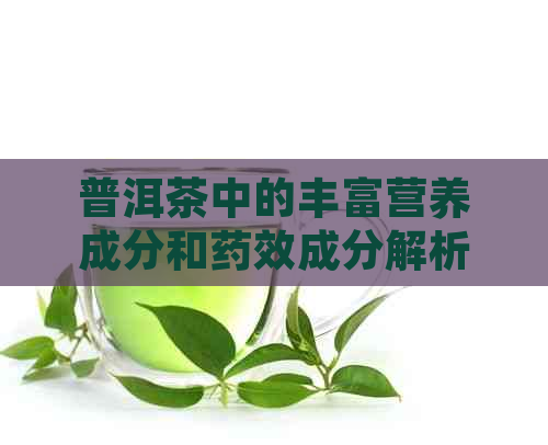 普洱茶中的丰富营养成分和药效成分解析：揭示其对人体健的多重益处