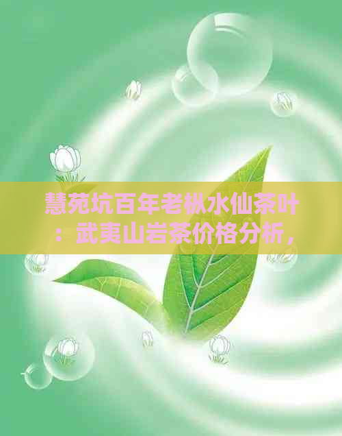 慧苑坑百年老枞水仙茶叶：武夷山岩茶价格分析，一斤多少钱？