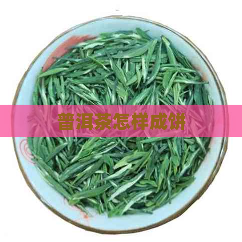 普洱茶怎样成饼