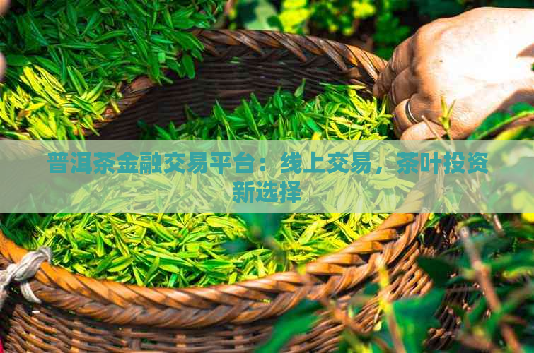 普洱茶金融交易平台：线上交易，茶叶投资新选择