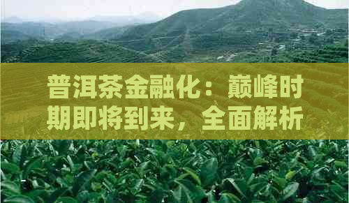 普洱茶金融化：巅峰时期即将到来，全面解析市场趋势与投资机会