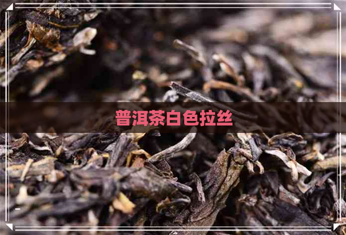 普洱茶白色拉丝