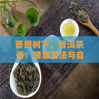 菩提树下，普洱茶香：禅意泡法与自然之恩