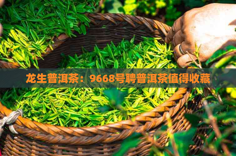 龙生普洱茶：9668号聘普洱茶值得收藏