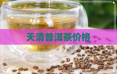 天清普洱茶价格