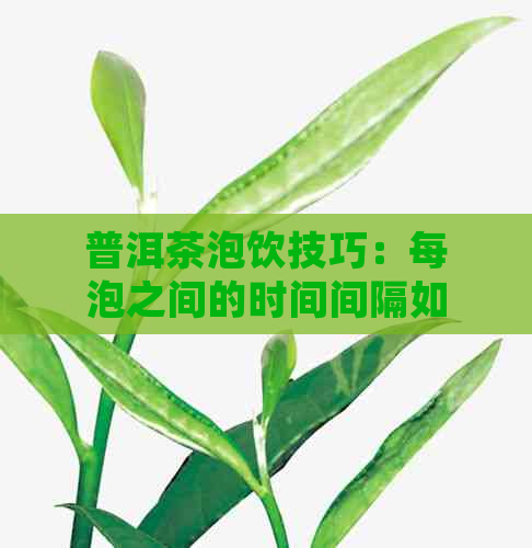 普洱茶泡饮技巧：每泡之间的时间间隔如何确定？