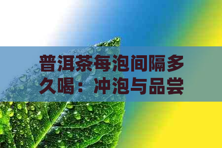 普洱茶每泡间隔多久喝：冲泡与品尝的时间安排