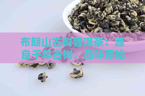 布朗山古树普洱茶：源自千年古树，品味原始生态之美